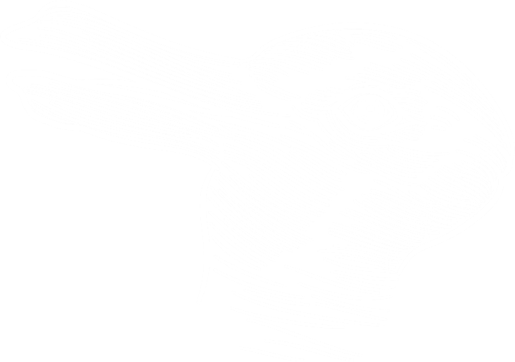 duck or rabbit ambiguous image